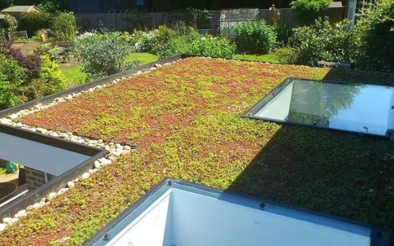 20. Anlaggning av sedumtak med tatskiktsmatta pa hus